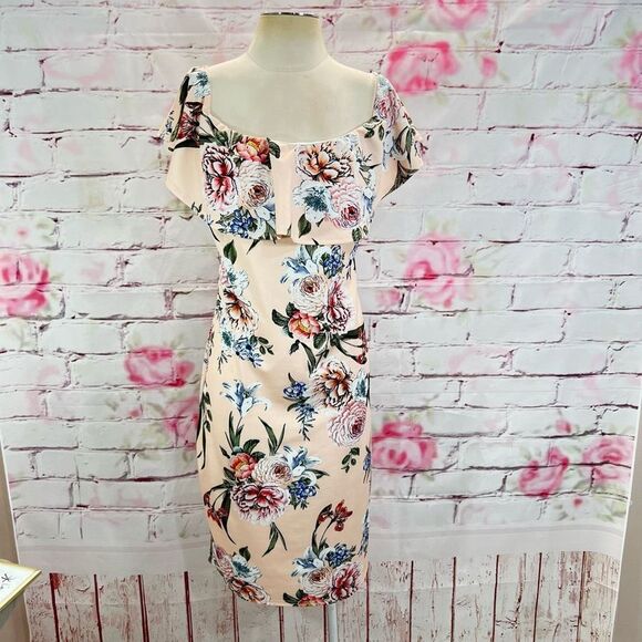 Boohoo Plus Dresses & Skirts - 🔥5 for $25 sale🔥Boohoo Plus Off The Shoulder Floral Flounce Dress Pink Size 16
